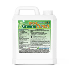 Load image into Gallery viewer, Liquid Lawn Fertilizer | 18-0-1 Greene Punch 1 Gallon by Greene County Fertilizer Co