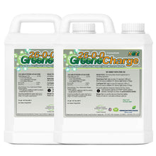 Load image into Gallery viewer, 26-0-0 GreeneCharge | N-Ext